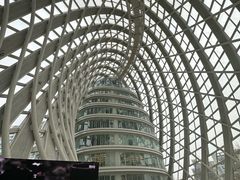 -凤凰中心