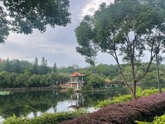 -深圳龙潭公园