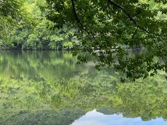 -杭州半山国家森林公园