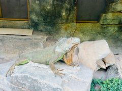 -黔灵山公园