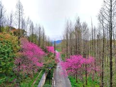 -青山湖景区
