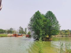 -苏州太湖国家湿地公园