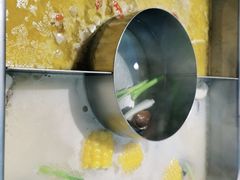 -新辣道鱼火锅(世纪金源购物中心店)