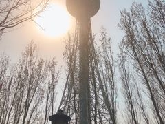 -龙塔
