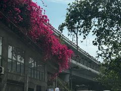 -泸州老窖景区