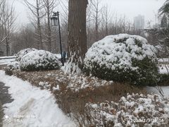 -迎泽公园