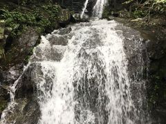 -藏龙百瀑风景区