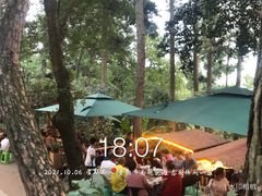 -生态园山庄(森林公园店)