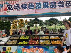 -迪茵湖田家舍生态农场