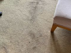 -秦皇岛阿尔卡迪亚滨海度假酒店