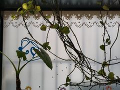 -岳姥姥饺子(泺文路店)