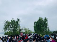 -西湖游船