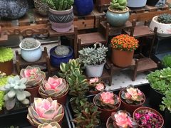 -秦美花卉(天朗·莱茵小城2期店)