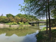 -尚贤河湿地