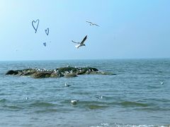 -老虎石海上公园