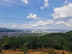 -岚山猴子公园