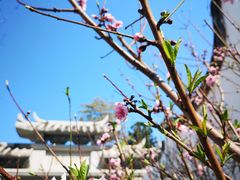 -乌山风景区