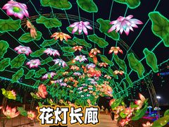 -沈阳奥体冰雪嘉年华