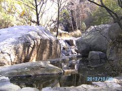 -鲁山国家森林公园