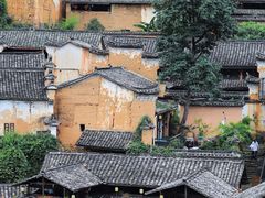 -杨家堂村