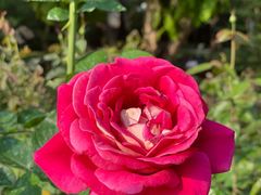 -人民公园(罗湖区)