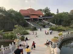 -大屏嶂森林公园