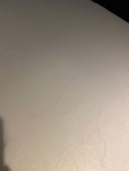 -时尚殿堂·颜SPA