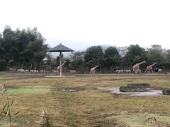 -宁波野生动物园