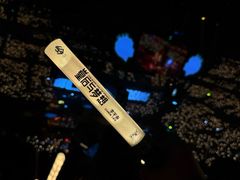 -梦之蓝青奥体育公园体育馆