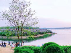 -丁香湖公园