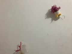 -深圳绿色亿家专业除甲醛