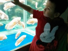 android_upload_pic-洛阳龙门海洋馆