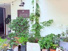 -AHAVA·Fang Baking Studio