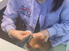 -御宝贝·A梦猫科宠物医院(国际猫友好医院)
