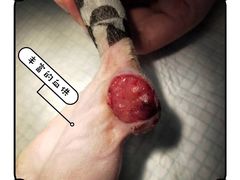 -萌兽医馆·宠物医院·猫骨科(创景店)