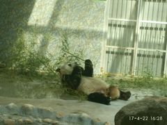 -西安秦岭野生动物园