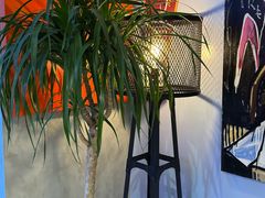 -nodcafe(M50创意园店)