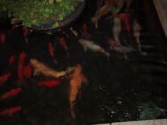 -长阳创谷