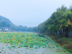 -北山公园