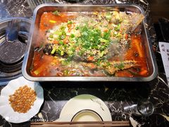 -百岁鱼(望月路店)