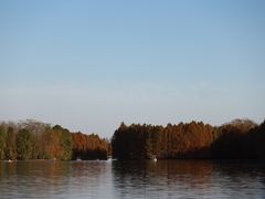 -上海海湾国家森林公园