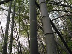 -会稽山峡洞漂流-上青古道