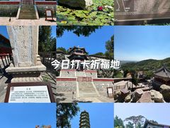 -香山公园