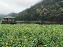 -广州市石门国家森林公园