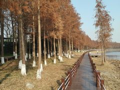 -苏州太湖湖滨国家湿地公园