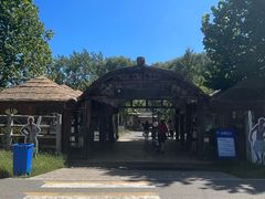 -秦皇岛野生动物园