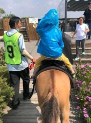 -小蜜蜂农场(凯德七宝购物广场店)