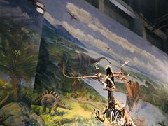 -自贡恐龙博物馆