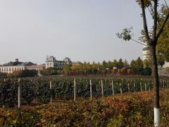 -北京张裕爱斐堡酒庄