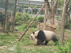 -黔灵山公园